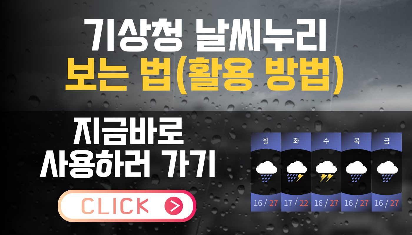 기상청 날씨누리 활용 방법